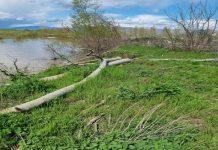 река Струма