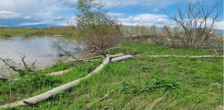 река Струма