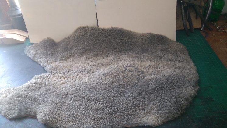 182812269 1082873468789519 4738908586164853669 n