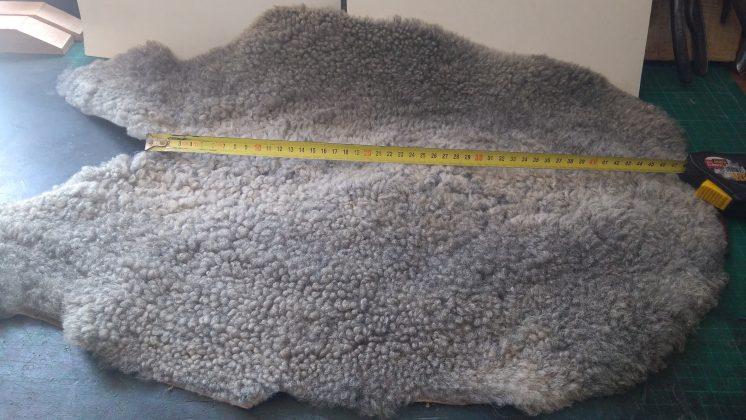 183064629 3914336591983177 2016905520749458746 n 1