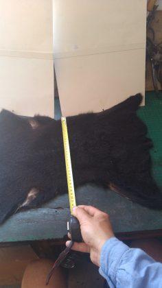 183312256 286898149742403 2979861173212625583 n