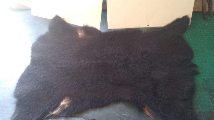 183558969 373018094044447 9006040173677039392 n