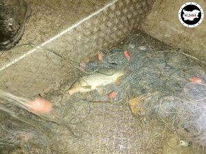 Акция срещу бракониерите в езеро Вая