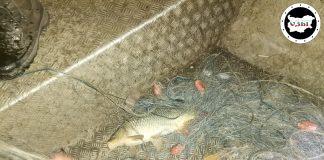 Акция срещу бракониерите в езеро Вая