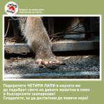 Инициатива "Четири лапи"