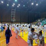 Шампионата в Перник