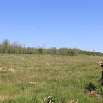 Горски площи