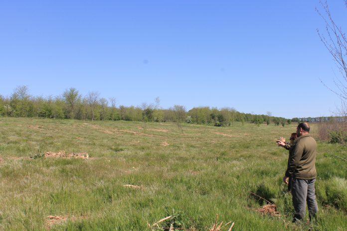 Горски площи