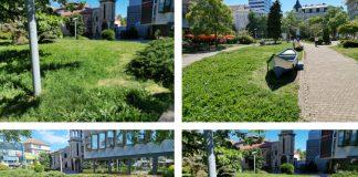 Предложение за засаждане на дървета в градинката до хотел "България"