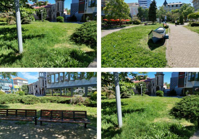 Предложение за засаждане на дървета в градинката до хотел "България"