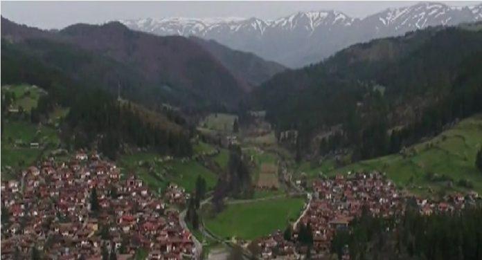 Копривщица