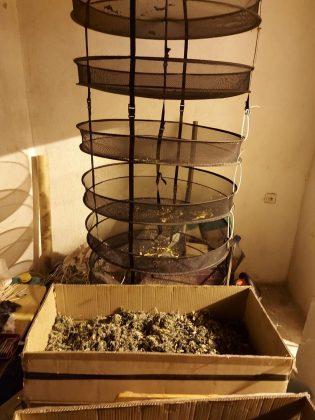 Нарколаборатория