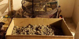 Нарколаборатория