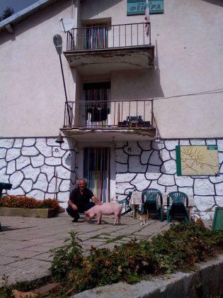 Петко Гарвана и прасенцето