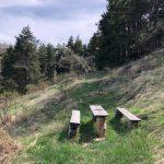 Сред природата