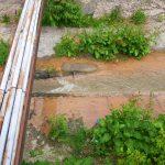 Река Поройна