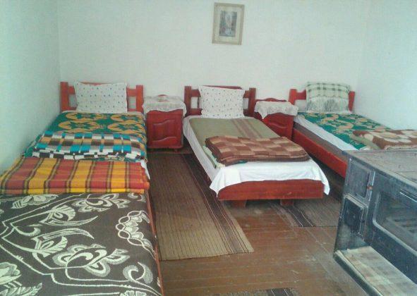 Стаите в хижата