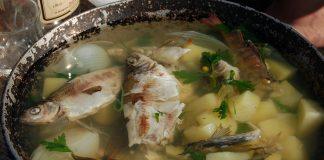 рибена чорба