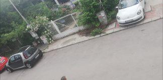 Свободата! Свободата е важна!