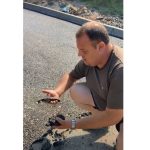 Асфалтът в Царево