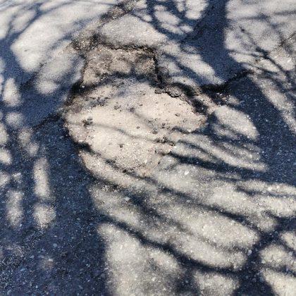 Белене-Лозица-Никопол