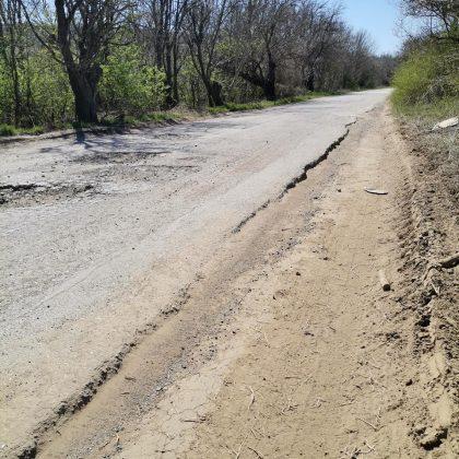 Белене-Лозица-Никопол