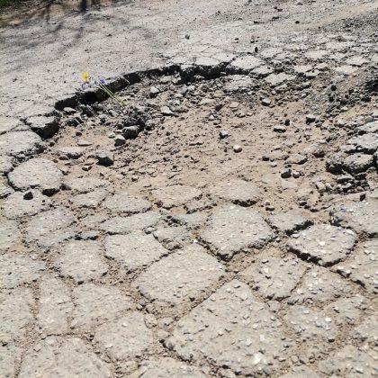 Белене-Лозица-Никопол