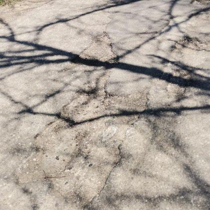 Белене-Лозица-Никопол