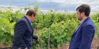 Георги Събев