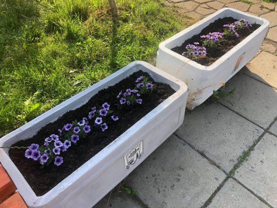 Почистена градинка