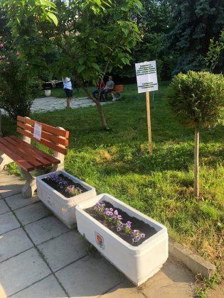 Почистена градинка