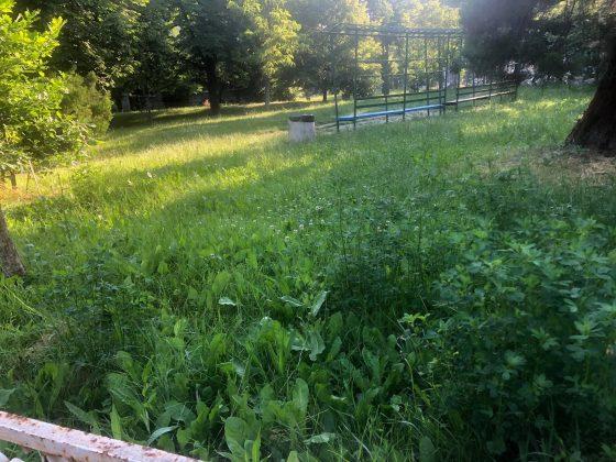 Почистена градинка