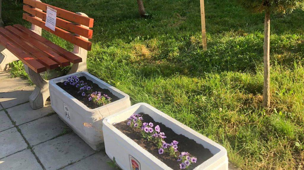 Почистена градинка