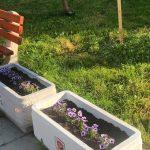 Почистена градинка