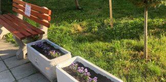 Почистена градинка