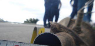 Катализатор