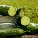 Краставици