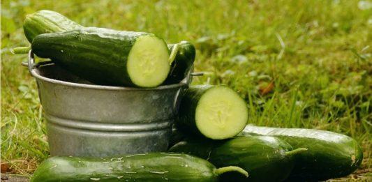 Краставици