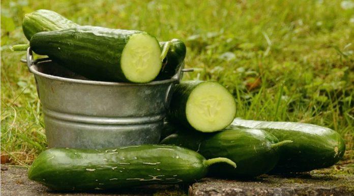 Краставици