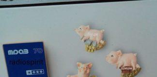 Магнитски за хладилник