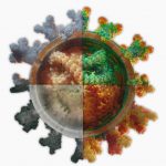 Мобилно приложение, COVID-19