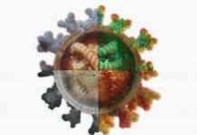 Мобилно приложение, COVID-19