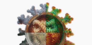 Мобилно приложение, COVID-19