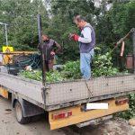 Акт за нерегламентирано изхвърляне на зелени отпадъци в местност Камбаните