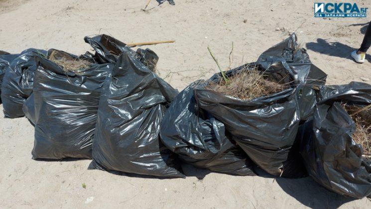 Почистване на плажа в парк "Росенец"