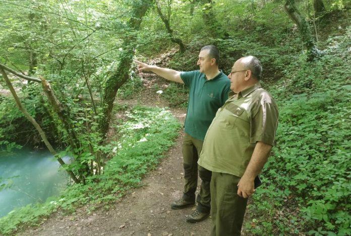 Проверки за нарушители в горите