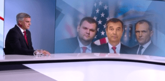 Стефан Янев