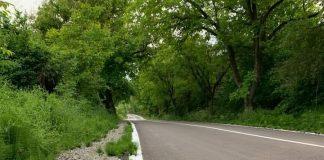 Трева, асфалт