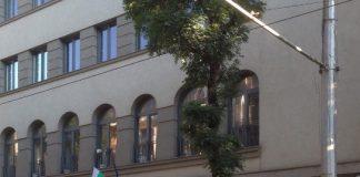 Висш съдебен съвет/ ВСС