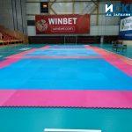 Зала Младост